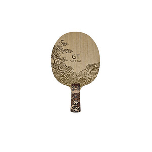 GT SPECIAL (3C9)